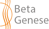 Kreativtherapie - psychotherapeutische Behandlungsform 6 BetaGenese Psychosomatische Therapie der BetaGenese Klinik