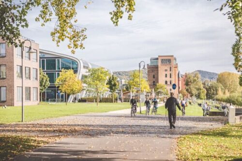 Anfahrt: Ihr Weg zur BetaGenese Klinik Bonn 2 Spaziergang entlang der Rheinpromenade in Bonn mit Blick auf die Natur und Umgebung der BetaGenese Klinik, ideal für Entspannung und Erholung von psychosomatischen Beschwerden.