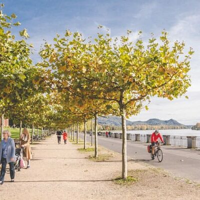 BetaGenese Über uns