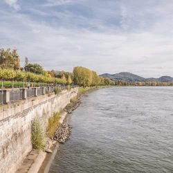 Ärzte und Psychologen der BetaGenese Klinik Bonn 4 BetaGenese Das BetaGenese-Team: Gemeinsam für Ihren Therapieerfolg