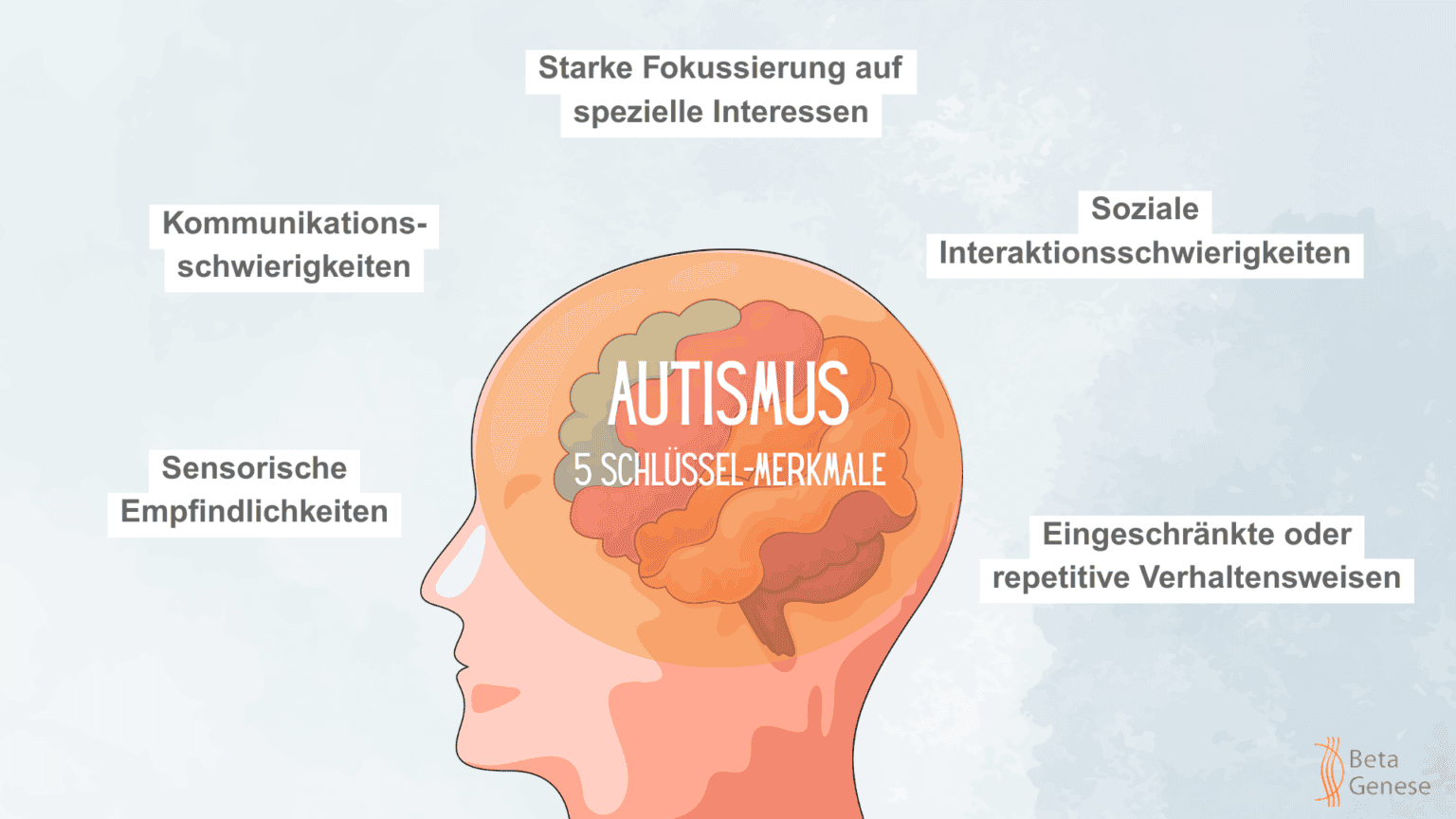 Autismus-Merkmale-1536×864