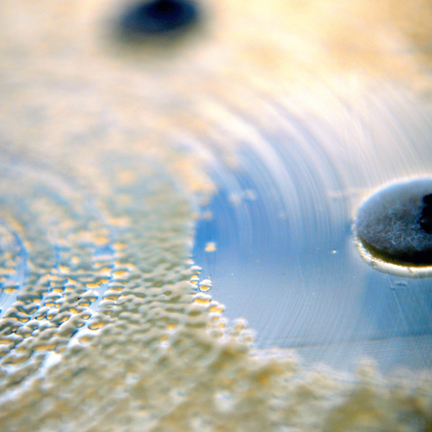 Design ohne Titel(32)