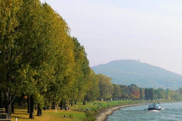 Ein Fluss mit einem Boot, gesäumt von Bäumen, im Hintergrund ein bewaldeter Hügel.