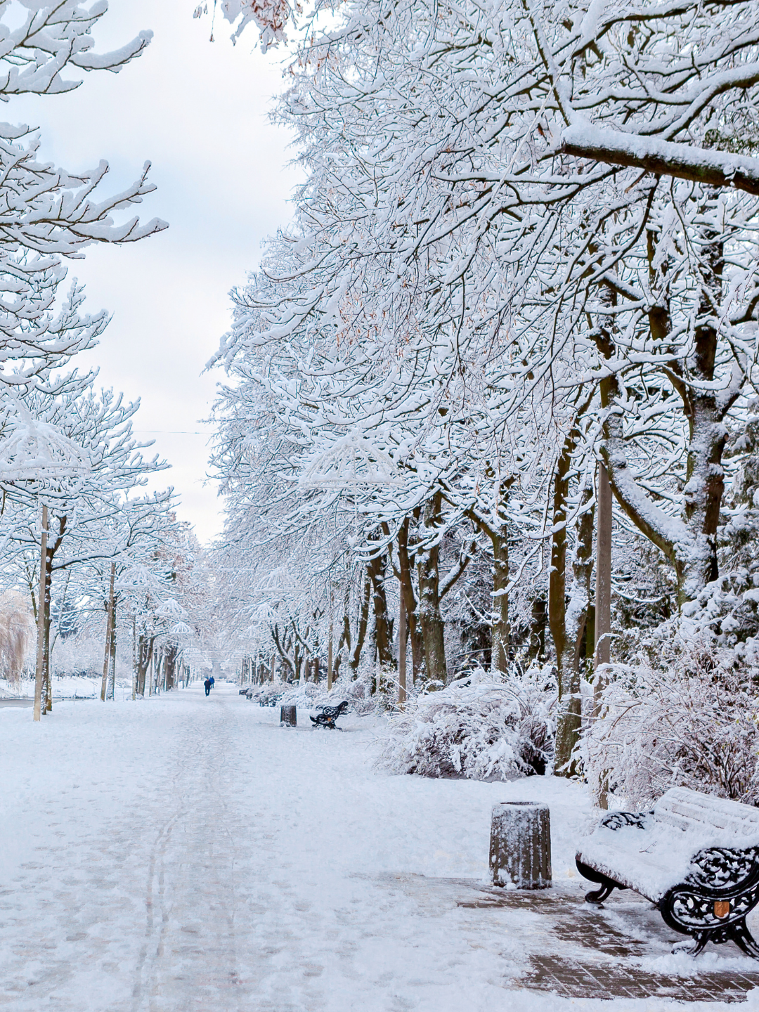 Winter_1