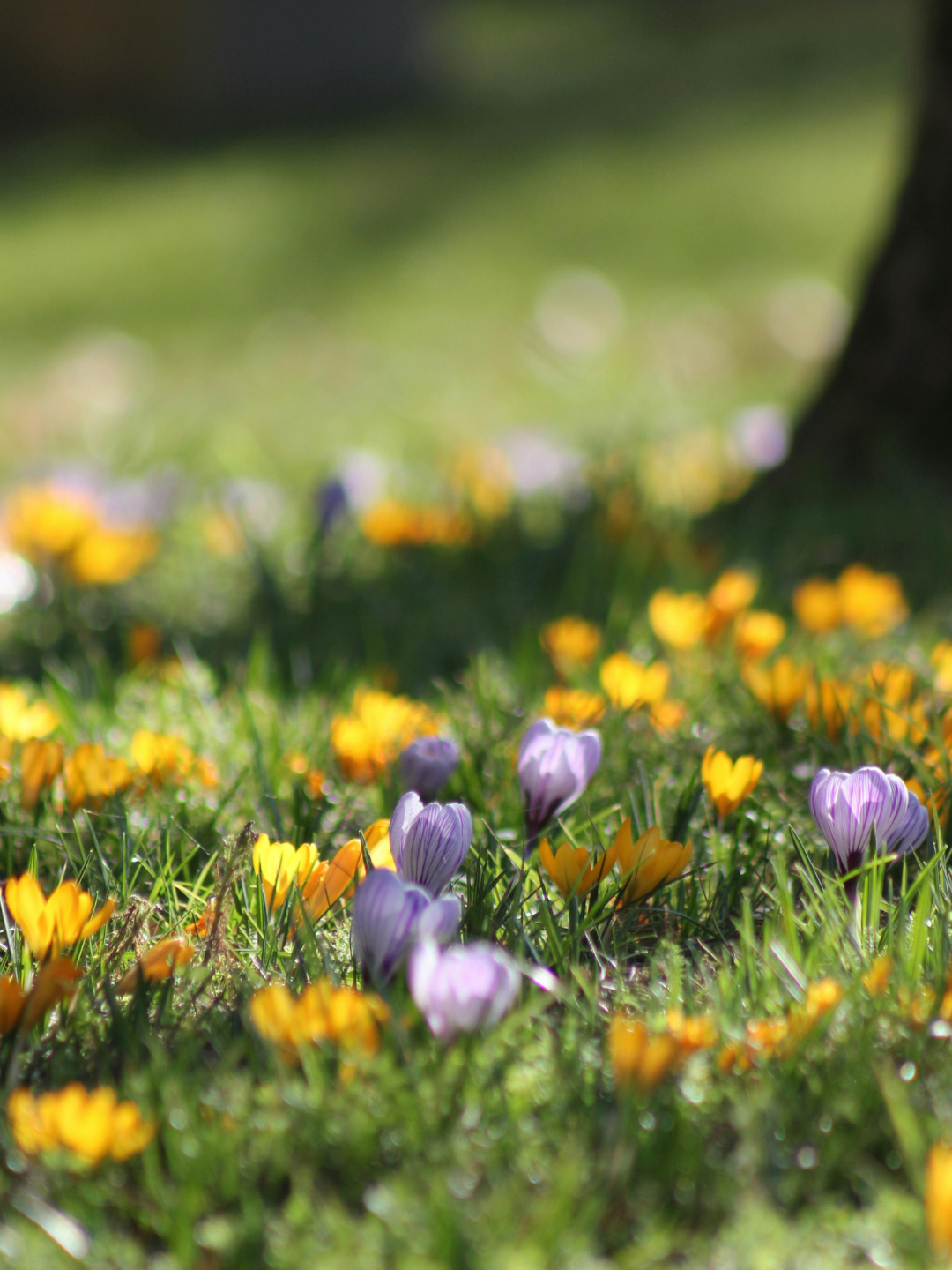 March_2